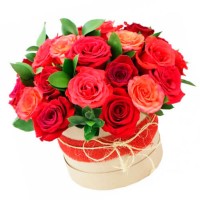 21 красная роза в коробке